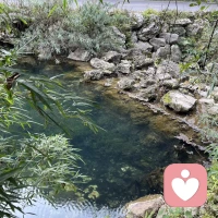 我是阿雨
守元精，顺天性，达天道，性即天道的福音
 
心为一身之主，性为天命之根。孟子曰：“尽其心者，知其性也；知其性，则知天矣。”夫子言性与天道，罕言而难传，盖此中道理，非身心俱悟者不能得。
 
人之根本，首在精、气、神，而精为根基，神为统帅。可控的欲望，是事物发展的前提；过度耗损精气，则会心神不宁、诸事不顺。如何教育儿子告诉他对少年而言，体内元精尤为珍贵，它是滋养筋骨、长养智慧、发育心智的源泉，更是支撑人立定鸿鹄之志的底气。守住元精，便是守住一身阳气，方能心无旁骛，立下远大志向，未来方能功成名就，成就一番伟业。唯有正视性能量，方能身动而心定，知行合一，在光明坦荡中获得身心的滋养，令人精神矍铄、神清气爽。
 
何为“性”？性，是生命的本然状态，是生命最本真的模样。它是生命的起源，是宇宙的元初之光，亦是万物生生不息的起点。天地有性，方有日月星辰的轮转；宇宙有性，方有星河皓月的璀璨；地球有性，方有山海林川的壮阔；草木有性，方有分枝繁盛的生机。一性入空，缘起而生，起死回生，生生不息。能领悟性的真谛，便是得道；得道，便是顺应天道。
 
天性本自上天所赐，循天性而行，便是合于天道。性能量，亦为天性中至真至纯的一部分，无需讳莫如深，亦不可放纵无度。男女之道，非仅肌肤之亲，更是两股能量的交汇与融合。当彼此以真诚之心联结，如两脉清流汇聚，便会形成相互滋养的能量场，在彼此的影响与纠缠中，完成自身内部的圆融与自足。而婚姻的真谛，正在于“人要离开父母，与妻子联合，二人成为一体，不可分开”。这份联结，当以互敬之约为基，以相守之誓为证，堂堂正正，坦坦荡荡，方能抵达亲密关系的最高旨意。
 
性能量不仅带来身心的愉悦，更藏着事物的底层道理。人性本善，非后天矫饰，实乃天性本然。仁义忠孝诸般美德，皆源于这份先天的本真。循天性而行，不欺暗室，不负本心，便是顺应天道；正视性能量，不压抑、不放纵，方能在亲密关系中修行，在天性与天道之间，寻得身心的平衡与生命的圆满。
 
你不仅能成为真正的人，更能顺应天道，达至天人合一之境。愿你我薪火相传，滋养人心，护持天性，代代延续，守住本心，传承风骨。配图
