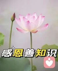 告诉自己：水到绝境是瀑布，人到绝境是重生。
​
 人皆生来一无所有，不必惧怕从头再来。
​
冬天越冷，来年樱花开得越灿烂；磨难越深，日后成就越大。
​
 睡前原谅一切，醒来便是新生