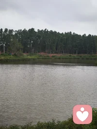 善待自己那是一种境界，心眼所及：看山则心静，看水则心清，看树则心朴配图