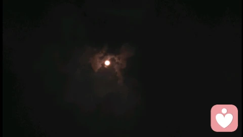 回忆里的自我审判