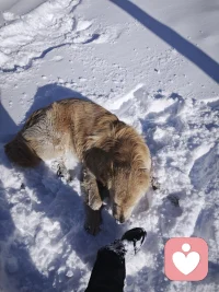 毛孩子都喜欢与自然链接。何况灵长类的人呢？好好感受大地的力量，好好吸收自然的能量。