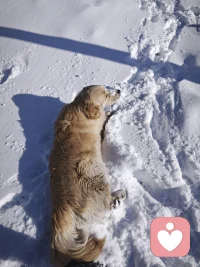 毛孩子都喜欢与自然链接。何况灵长类的人呢？好好感受大地的力量，好好吸收自然的能量。