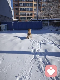 毛孩子都喜欢与自然链接。何况灵长类的人呢？好好感受大地的力量，好好吸收自然的能量。