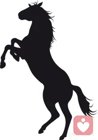 过往的黑洞会一次次将你拉回那个无助，迷茫，焦虑甚至恐惧的瞬间，与黑暗对峙的过程，就是黑马跃马纵情腾起的过程，相信自己。一定可以，一定可以，一定可以！