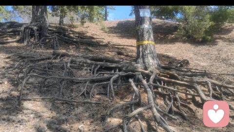 童年性话题，呵斥需谨慎