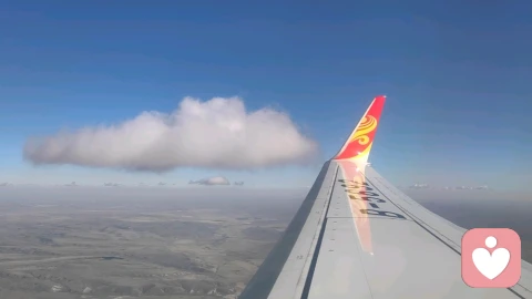 母爱与“恋母”的边界在哪里？