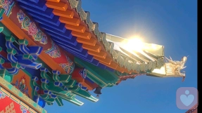 聊聊“职业倦怠”，快速从内耗里走出来