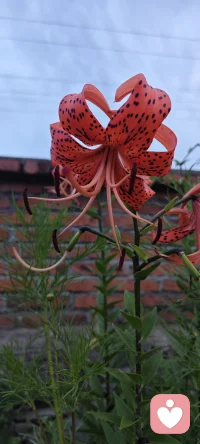 无论那个人生阶段，都要保持“很好玩”的心态，尝试着走出舒适区，进入延展区，或许会有不一样的体验！配图