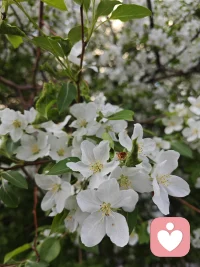 人生本就是一边失去，一边拥有，别为难自己。配图