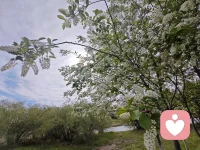 繁华季节，把烦恼调成静音，把日子过成风景。配图