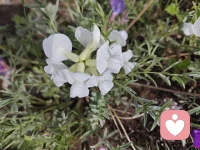 繁华季节，把烦恼调成静音，把日子过成风景。配图