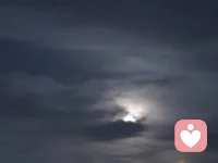 月色朦胧，心事向谁说？很多心事不敢对身边人讲，没关系，这里愿意静静听你说。配图