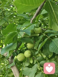 作家蔡澜，有一个极其简单人际关系法则：让我开心的人多相处，让我压抑的人立刻远离。配图