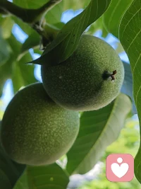 允许自己做自己，允许别人做别人