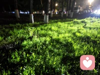 认知不到位，是件极其可怕的事情