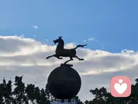 女人要活出自信的姿态，向阳而生，往后余生好好爱自己，和爱你，珍惜你的人，学会做个断取舍的清醒女人❤️配图