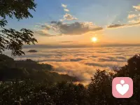 女人要活出自信的姿态，向阳而生，往后余生好好爱自己，和爱你，珍惜你的人，学会做个断取舍的清醒女人❤️配图