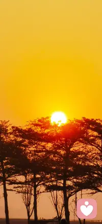 当痛苦终于被言说，人们才能获得最基本的勇气每个人的改变都足够公平，与他们为之投入的代价相比，一分不多，一分不少，正是生活本来的样子。

     世界上有这样一个地方，有这样一个人，可以直面这个无处可逃的、困惑的、痛苦的你。你可以言说真实的你，交谈让我们接纳自己，接纳自己的痛苦，也接纳我们用来逃避痛苦的徒劳无功的尝试。配图