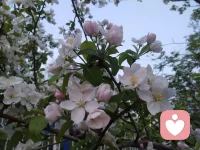 人这辈子得找对能量搭子。和同频的人唠嗑，灵魂就像装了共振器。被懂你的人推一把，躺平都能重启动力。跟有趣的人相处，白开水日子能活出气泡感。和正能量的人抱团，阴天都自带追光特效。要是气场合拍，就组队杀穿生活副本。要是目标不同，咱山顶上见。配图