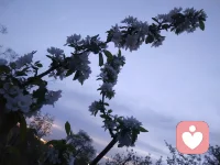 人这辈子得找对能量搭子。和同频的人唠嗑，灵魂就像装了共振器。被懂你的人推一把，躺平都能重启动力。跟有趣的人相处，白开水日子能活出气泡感。和正能量的人抱团，阴天都自带追光特效。要是气场合拍，就组队杀穿生活副本。要是目标不同，咱山顶上见。配图