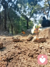 张雪峰走了，惋惜这年轻生命的逝去。猝死年轻化，不禁让我们思考，拼命努力想换来的是否值得？健康是一切的根本，当健康不在时，一切都将归零。亲爱的们，请爱护好自己!毕竟来这人世间一遭不容易。借用闫妮的一句话“放下个人素质，拒绝精神内耗，有事直接发疯，享受缺德人生”。