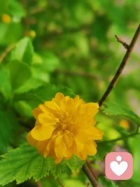 春和景明，风和日丽