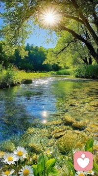 相信一切都是最好的安排。配图