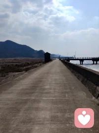 心灵，这座看不见的桥梁，是情感沟通的纽带。它如彩虹桥一般，横跨在理解与被理解之间，让我们在人生的道路上相互理解，分享欢乐与哀愁。