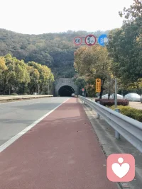 走在路上，你会看到很多的风景，在这个春暖花开的日子里，走出去看一看吧，你会看到美好就在身边！配图