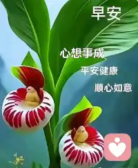微笑的眼睛
才能看到美丽的风景
简单的心境
才能拥有快乐的心情
早安🌼🌞配图