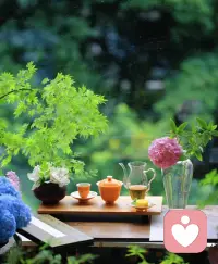 用宽容的心态接纳一切，选择积极的态度，就是选择了更宽广的人生。
​早安配图
