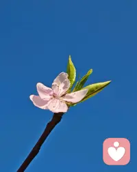 我在这安静倾听，接纳你所有委屈与迷茫，在这里不必假装坚强。配图