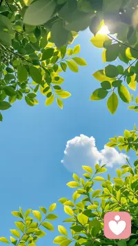活太吵，心事太满
总有一些时刻，需要一个安静的倾听者
 
我不追问过往，不评价对错
只用心倾听你的烦恼
化解工作压力、缓解情绪内耗
抚平焦虑与孤独
 
允许你脆弱，接纳你所有负面情绪
给你一段完全放松、自由倾诉的时光
慢下来，和自己和解
我一直都在，随时等你💛配图