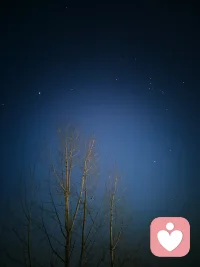 高阶的爱，近乎“无情”。这不是冷漠，而是道家“天道无亲”的澄明：爱不再是一种捆绑的激情，而是如阳光普照般的在。我爱你，但我的存在不因你而倾斜；我为你付出，但我的圆满无需你的回馈来确认。
荣格提醒我们，许多狂热之爱，是内心“阿尼玛”或“阿尼姆斯”（潜意识中的异性形象）的猛烈投射。我们爱的，常是自己缺失的另一半幻影。拉康则冷酷指出，那让我们痴狂的“对象a”，永远是可望不可即的缺失本身。
故而，爱的修行，是收回投射，补全自身。是如庄子所言“相忘于江湖”。在深切的连接中，依然保有“独与天地精神往来”的从容。我爱你，但我不再试图把你填进我灵魂的空洞。我的灵魂，本自具足。
激烈的，是欲望。平静的，才是爱的土壤。当你不向爱索取存在感时，真正的相遇，方才开始。
爱自己，爱他人，传递爱❤