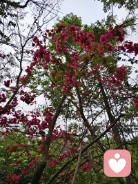 把过去留在过去，
爱情才能发生在现在[爱心]
创伤会让我们习惯
寄望他人完整自我，
而真正成熟的爱意，
是主动与过往和解，
和同样不完美的人共同担当，
让爱情只属于当下，
不被过去牵绊🌿