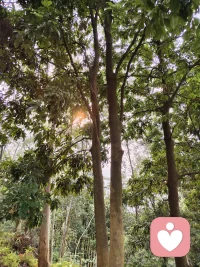 把过去留在过去，
爱情才能发生在现在[爱心]
创伤会让我们习惯
寄望他人完整自我，
而真正成熟的爱意，
是主动与过往和解，
和同样不完美的人共同担当，
让爱情只属于当下，
不被过去牵绊🌿