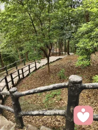 把过去留在过去，
爱情才能发生在现在[爱心]
创伤会让我们习惯
寄望他人完整自我，
而真正成熟的爱意，
是主动与过往和解，
和同样不完美的人共同担当，
让爱情只属于当下，
不被过去牵绊🌿