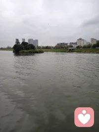 专注自我
不入他人之局
人在最有魅力的时候，
就是不关心周围的一切人和事，
也不关心别人的评价和看法!
人生如棋，
天地为盘。
专注自我，
别人的棋局就困不住你!配图