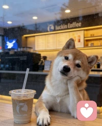 为什么越懂事的人越委屈？