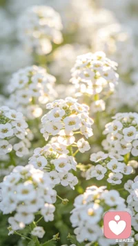 为什么我们总困执于求而不得
 
人总是会在一些求而不得的时刻反复磋磨自己，其实让你痛苦的从来都不是没能拥有，而是你心中那份不甘在不断拉扯。
 
你以为是遗憾困住了你，可实际上是你自己不肯松开攥着执念的手。那些没能抵达的山海，没能圆满的故事，本就是人生的常态。
 
试着把目光从对岸收回来吧，你会发现此刻身边的风也很温柔，沿路开着的花也足够浪漫。别再让未完成的执念，遮住了当下正在拥有的美好。配图