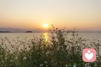 生活是旷野不是轨道，不必按谁的剧本走。