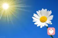 从今天起，做一个简单而幸福的人。不沉溺幻想，不庸人自扰，不浪费时间，不沉迷过去，不畏惧将来。配图