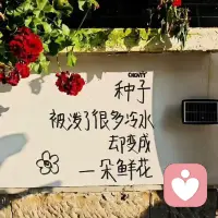 有沮丧的时候，
就会有开心的时候，
再撑一撑吧，
总会好的。 ​​​​配图