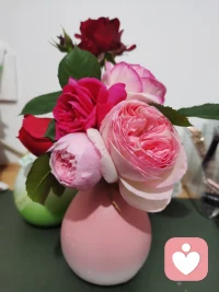 35+中年自救：一个女人旺自己的6个好习惯
最近好多朋友跟我说，虽然我已经过了35岁，但是状态反倒越来越好了。

其实不是生活突然变顺了，而是一个35+女性终于懂的如何让自己心安不内耗了人到中年很多人习惯了隐忍、讨好、硬扛，把所有委屈都憋在心里，活得疲惫又麻木。

可我偏不能忍受这样的“人到中年”，所以我要“自救”！不用大动干戈，坚持这6个微习惯，日子一定会悄悄变好。

💓1️⃣把犹豫不决替换成我可以试试

从前总羡慕别人活得自在，自己却陷在“我不行”的自我否定里，明明那件事情自己有点小渴望，也知道自己够一够大概率能行。

但该死的自我否定总让我刚有一点小火苗又自动掐灭了。后来我像引导女儿一样鼓励自己：没事的先试试看，先完成再完美。

💓2️⃣在家挤出精神自留地

书房是我特别喜欢呆的地方，我买了一个懒人沙发放在这里，我可以专心在书房工作，也可以看书，哪怕只是放空。

人要先有一个接得住自己的地方，才有力量接的住生活的琐碎。

💓3️⃣不停的记录真的可以改命

这是让我受益终生的习惯。我日更朋友圈已经连续12年了，在过去的创业平台拿到了千万级的收入，跟这个习惯密不可分。

我喜欢在朋友圈保持“活人感”，看了一本书，一部影视作品，我都会分享我的感悟。生活中打动我的人和事，以及我的日常生活都会在朋友圈记录。

正是这份“活人感”和持之以恒的记录让朋友们对我有一份天然的信任感，也让我在某天翻过去的朋友圈时，才发现原来我把每一天都过的这么有趣可爱。

💓4️⃣每天10分钟关心身体

不搞饿肚子减肥也不搞打卡式养生，每天腾出10分钟摸摸肩颈、揉揉腰腹、按按眼睛，感知身体的酸胀疲惫。

中年人的崩溃，大多从硬扛小不适开始，你用心觉察身体的小感受，身体才会反过来善待你、滋养你。

💓5️⃣拒绝当老好人
半辈子都在不好意思拒绝，现在学会了微笑着拒绝，不吵架不翻脸但态度温和而坚定。

中女最耗命的是羞于拒绝的憋屈感，守住边界，不内耗不憋屈，就是顶级的旺自己。

💓6️⃣定期一键清零坏情绪
不当“祥林嫂”也不发去朋友圈吐槽，每天留10分钟，梳理一下自己的情绪，理清负面情绪产生的原因，并告诉自己此事翻篇不隔夜，坏情绪不积压，人就不会一脸苦相。
✍🏻木槿写在最后❤️
亲爱的，变好的从来不是生活，而是你自己。我没有突然变厉害，只是坚持了这6个微习惯，把关爱自己放在第一位配图