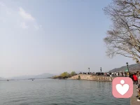 2026｜做一个“扮猪吃老虎”的中年少女

当别人精明通透时，我们钝感从容
当别人耗尽心力渐渐疲惫时
我们刚好厚积薄发
这正是中年少女最通透的活法
不是懵懂不懂人情
而是看透世事后依旧保持纯粹
不是不懂世事规则
而是深谙规则却不被其束缚

人生后半场，褪去年少的锋芒
学会默默沉淀，悄悄蓄力
最终活成自己人生里最稳的底气

❶ 扮猪，是懂得收敛的智慧

年轻时
总想处处争强好胜
把野心和能力全都展露在外
走过半生才懂得
真正的强大
从不需要大肆张扬
收起锋芒不是软弱
而是把精力从向外炫耀转为向内成长

·不与人争长短，只专注自身前行
·不轻易显露实力，只悄悄积攒底气
·把心思用在无声的蜕变：
阅读、健身、提升自己、珍惜身边人

所谓收敛
不过是把张扬的心思收起
专心扎根生长

❷ 吃老虎，是在重要时刻果断发力

人生后半场，精力愈发珍贵
不用事事都抢在前头
但要在关键节点上
坚定选择，全力奔赴

▪ 善待自己：
规律作息、好好吃饭、坚持运动
这是对余生最好的投资

▪ 深耕热爱：
找到一件能长期坚持的事，拍照、写作、成长…
持续打磨，成为独一无二的自己

▪ 精简圈子：
把温柔留给值得的人
远离消耗自己的人与事

▪ 坚守本心：
拥有被人不理解的勇气
不活在他人评价里
只按自己的步调生活

真正厉害的人，都在做减法
删繁就简，而后全力以赴

❸ 真正的赢，是低调前行、默默绽放

不用向所有人诉说你的努力
最好的成长，都在无人看见的时光里
▪ 读过的书，会沉淀为你的气质
▪ 练就的能力，会成为你的底气
▪ 养好的身心，会展现出最好的状态

当你把生活过成想要的样子
美好自会如期而至
未成之前不张扬，事成之后不炫耀
低调前行，自有光芒

❹ 最高境界：活成自己的依靠

这样的活法
最终收获的不是胜过他人的骄傲
而是内心的安稳与从容
你清楚自己的方向
懂得自己的价值，明确前行的路
不会因外界纷扰而慌乱
不会因一时起伏而迷茫

这份淡定
是时光送给中年少女最好的礼物
真正的胜利，是超越过去的自己
稳稳握住往后的每一天

所以
去做一个扮猪吃老虎的中年少女吧

在他人浮躁张扬时，你静心沉淀
在他人急功近利时，你相信慢慢来的力量
把生活调成静音模式
在自己的节奏里，悄悄努力，慢慢发光

终有一天
当你从容展现出自己的精彩
所有人都会明白
那个看似不争不抢的人
早已活成了最好的自己配图