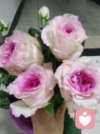努力活成了自己喜欢的样子❤️

￼无论你的婚姻幸与不幸，无论枕边人忠与不忠，身为女人，都应该明白一件事，婚姻并不是人生的全部，下半生拼的不是老公，而是一个优秀孩子，一个健康的身体，一个开心优雅的余生。
￼一个女人最好的样子，就是眼里写满了故事，脸上却不见风霜。不嘲笑谁、不嫉妒谁，也不依赖谁。只是悄悄地努力，吞下了委屈，喂大了格局，努力活成了自己喜欢的样子。
￼女人，一定要健康，一定要好好打扮自己，一定要靠自己双手好好赚钱。当你身材好，气质好，又不差钱时，你就会恍然大悟：
哪有时间患得患失，哪有时间东想西想，哪有时间揣摩别人，哪有时间留恋过往。
￼一个女人最好的出路，从来都不是找个好丈夫，而是将自己修炼得睿智与强大，去匹配这世间的万事万物，也唯有经济独立，才能让灵魂挺拔，更要努力做自己，世人万千，我就是我。配图