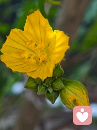 无人倾诉，无人理解，所有的难过都自己消化，慢慢熬成了沉默。配图