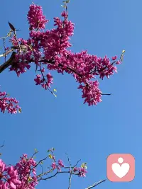 人生没有最好的年龄，只有最好的心态，我们争不过岁月，也跑不过时间。唯有以自己喜欢的方式，过好每一个日出日落。人生要学会与自己和解，两分看透，三分释怀，五分爱自己，人生下半场，善待自己，浅浅笑，轻轻爱，稳稳走，看淡得失，珍惜拥有，不负时光，不负自己。[配图