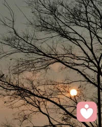被人民日报的这段话狠狠治愈：“人的想法和感受，真的会随着时间
和认知的改变而改变，原来你笃定不会变的事情，会在之后的某一刻就很容易变得释然。原来你忧虑不得其解的事情，会在之后的某一刻变得不再那么重要。人都是会变的，情绪和感受也都是会流动的，不要把一时的感受定为永恒”配图