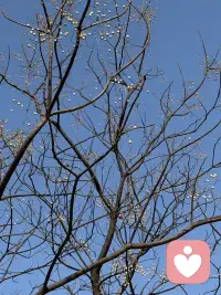 山高自有客行路，水深自有渡船人。配图